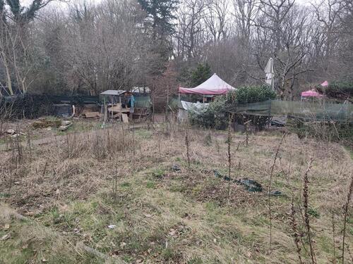 Foto - Garten am Wald in Köln Dünnwald zu vermieten