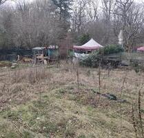 Garten am Wald in Köln Dünnwald zu vermieten