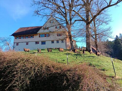 Foto - Große Wohnung im Bauernhaus mit Garten & Panoramablick