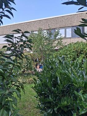 Foto - 4 Zimmer Reihenhaus zum Kaufen in Duisburg