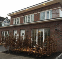 2,5 Zi.Wohnung mit Dachterrasse im 2-Familienhaus in Bestlage - Tasdorf