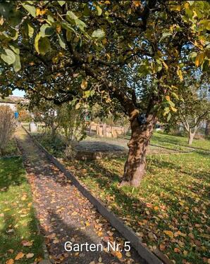 Foto - Grundst&uuml;ck zur Miete in Bautzen