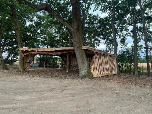 Foto - WiesenflächeOffenstahl Pferdehaltung