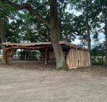 WiesenflächeOffenstahl Pferdehaltung - Usingen