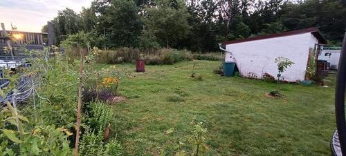 Foto - Einfamilienhaus in Finsterwalde zum Kaufen