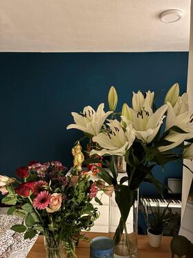 Foto - Wohnung Untermiete - 1.200,00&nbsp;EUR Kaltmiete, ca.&nbsp; 28,00&nbsp;m&sup2;