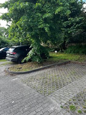 Foto - andere in Magdeburg