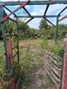 Foto - Kleingarten 600qm - 300,00 EUR Kaltmiete, ca.  0,00 m²