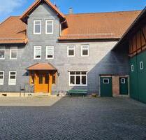 frisch renovierte 1,5 Zimmer-Wohnung in Delligsen