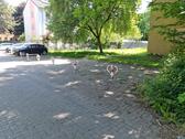 Foto - Stellplätze zu vermieten! - 20,00 EUR Miete,