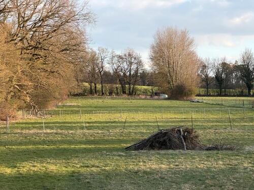 Foto - Grundst&uuml;ck zur Miete in Reinbek