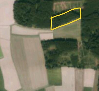 Foto - Waldgrundstück - 7,00&nbsp;EUR Kaltmiete, ca.&nbsp; 0,00&nbsp;m&sup2;