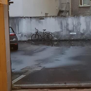 Foto - andere in Mainz