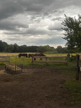 Foto - Einfamilienhaus zum Kaufen in Küstriner Vorland