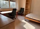 Foto - 1 Zimmer Etagenwohnung zur Miete in Freiburg im Breisgau