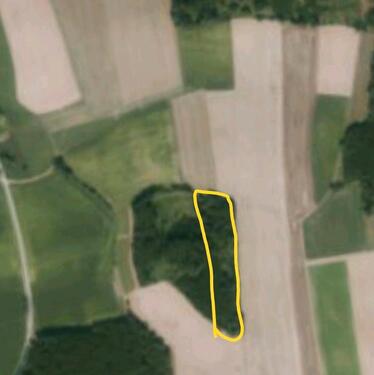 Foto - Waldgrundstück - 5,00&nbsp;EUR Kaltmiete, ca.&nbsp; 0,00&nbsp;m&sup2;