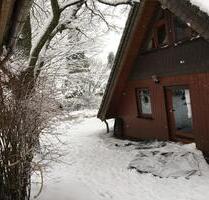 Haus, Nurdachhaus, Holzhaus mit großem Grundstück und Carport - Driedorf