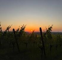 Ferienwohnung für bis zu 4 Personen und 1Hund - Kitzingen