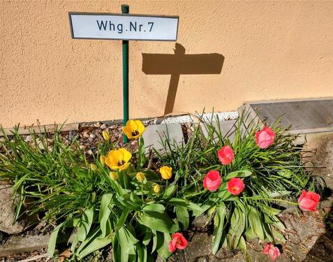 Foto - andere in Essen zur Miete