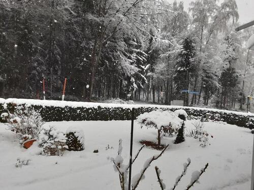 Foto - andere zur Miete in Waldkirchen