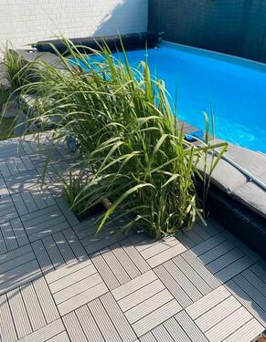 Foto - Komplett sanierter Bungalow in Resse zu verkaufen