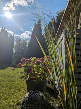 Foto - Grundst&uuml;ck zur Miete in Greifswald