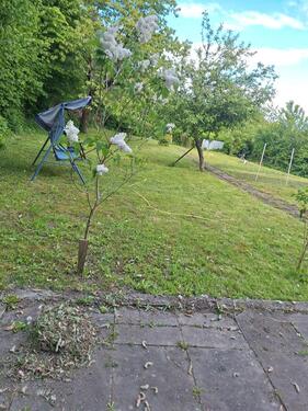 Foto - Grundst&uuml;ck zur Miete in Molfsee