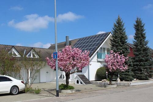 Foto - Zweigenerationshaus & Gewerbehalle 966 m² 