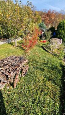 Foto - Kleingarten zu Pacht - 2.500,00&nbsp;EUR Kaltmiete, ca.&nbsp; 0,00&nbsp;m&sup2;