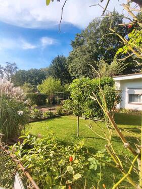 Foto - Grundst&uuml;ck zur Miete in Eisenhüttenstadt