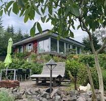 Waldrefugium nahe Rothaarsteig – 6.000 m² Naturgrundstück - Hilchenbach