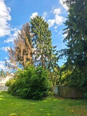 Foto - Doppelhaushälfte in Koblenz zum Kaufen
