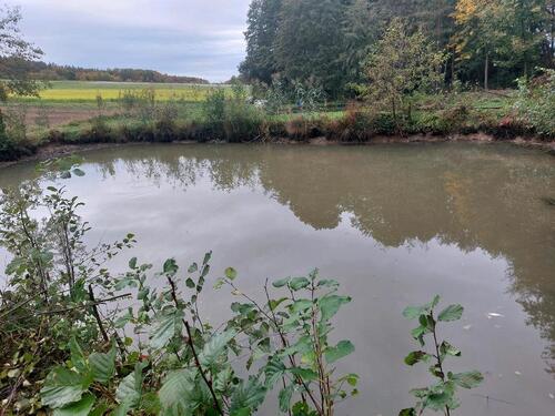 Foto - Freizeitgrundstück Teichanlage - 12,00&nbsp;EUR Kaltmiete, ca.&nbsp; 0,00&nbsp;m&sup2;