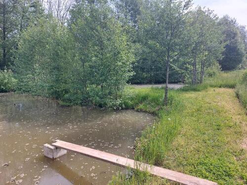 Foto - Grundst&uuml;ck zur Miete in Scheßlitz