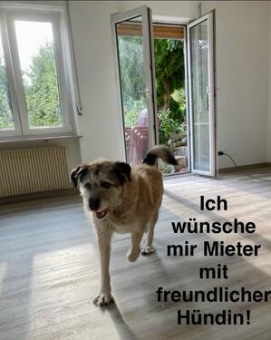 Foto - Etagenwohnung zur Miete in Albstadt