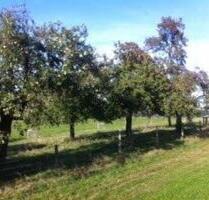 Lichtdurchflutete EG Wohnung, 2 Zi KDB, 2 Terrassen, 79 m2 - Waldbröl