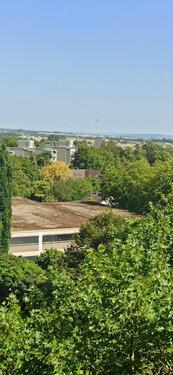 Foto - 4 Zimmer Etagenwohnung zum Kaufen in Frankfurt am Main