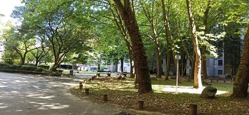 Foto - Etagenwohnung in Frankfurt am Main zum Kaufen