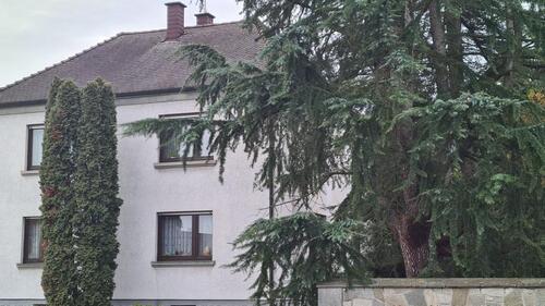 Foto - Haus und Gewerbe auf 1750 qm MAKLERFREI