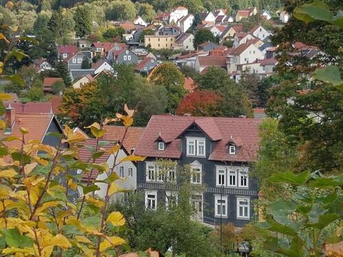 Foto - 2 Zimmer-Whg. in MartinrodaIlmenau mit Dachterrasse
