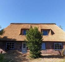 Schöne Reetdachkate in ruhiger Umgebung in Almdorf zu vermieten - Bredstedt