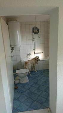 Foto - 3 Zimmer Etagenwohnung zur Miete in Bruchsal