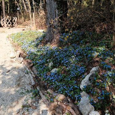 Foto - Einfamilienhaus in Ergolding