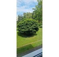 4-Zimmer-Wohnung mit schönem Sonnenbalkon - Braunschweig Timmerlah-Geitelde-Stiddien