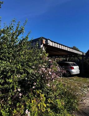 Foto - Einfamilienhaus in Holzdorf