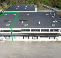 Lager-Produktions-Gewerbehalle ++ beheizt ++ Verladerampe - Geesthacht