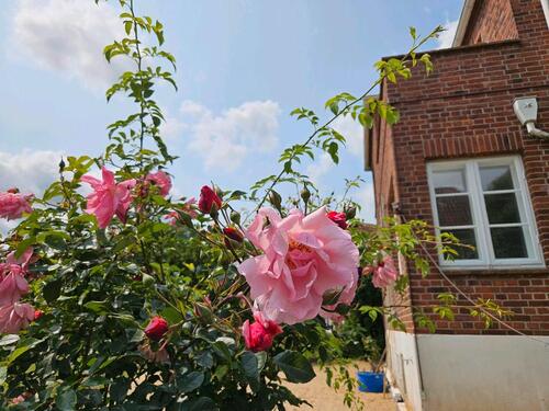 Foto - 4 Zimmer Einfamilienhaus in Ratzeburg
