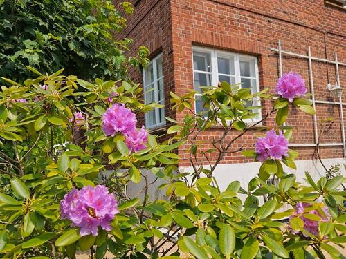 Foto - Einfamilienhaus in Ratzeburg zur Miete