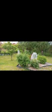 Foto - 4 Zimmer Einfamilienhaus in Holzdorf