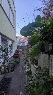 Foto - 3 Zimmer Etagenwohnung zur Miete in Mainz